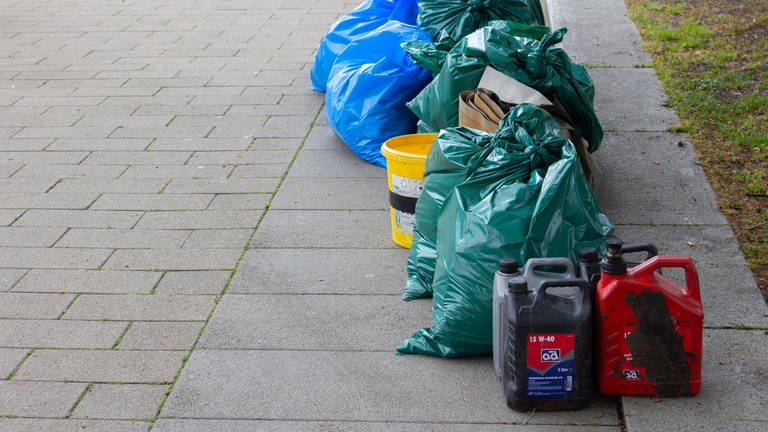 Bürger beim Aufsammeln von Müll am Rhein in Ludwigshafen (Foto: SWR)