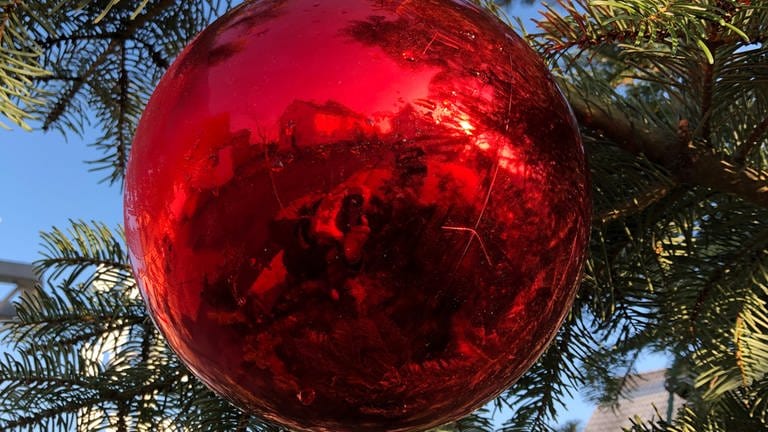 Rote, große Weihnachtskugel am Weihnachtsbaum von Clausen (Foto: SWR)
