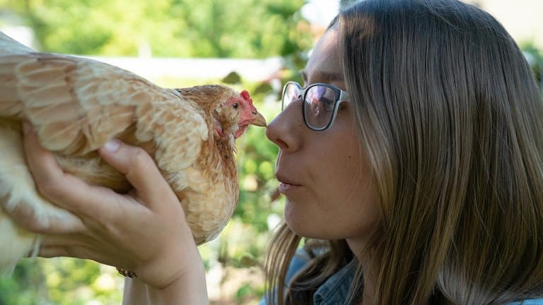 "Rettet das Huhn" - Der Verein vermittelt ausgediente Legehennen an Privatmenschen, um ihnen einen schönen Lebensabend zu ermöglichen. (Foto: SWR)