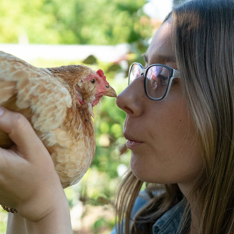 "Rettet das Huhn" - Der Verein vermittelt ausgediente Legehennen an Privatmenschen, um ihnen einen schönen Lebensabend zu ermöglichen. (Foto: SWR)