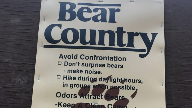 Ein Plakat mit einer Warnung vor Bären (Foto: SWR)