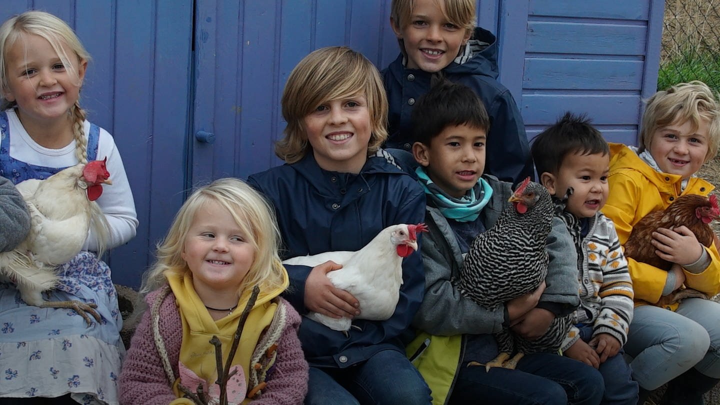 Kinder und Hühner