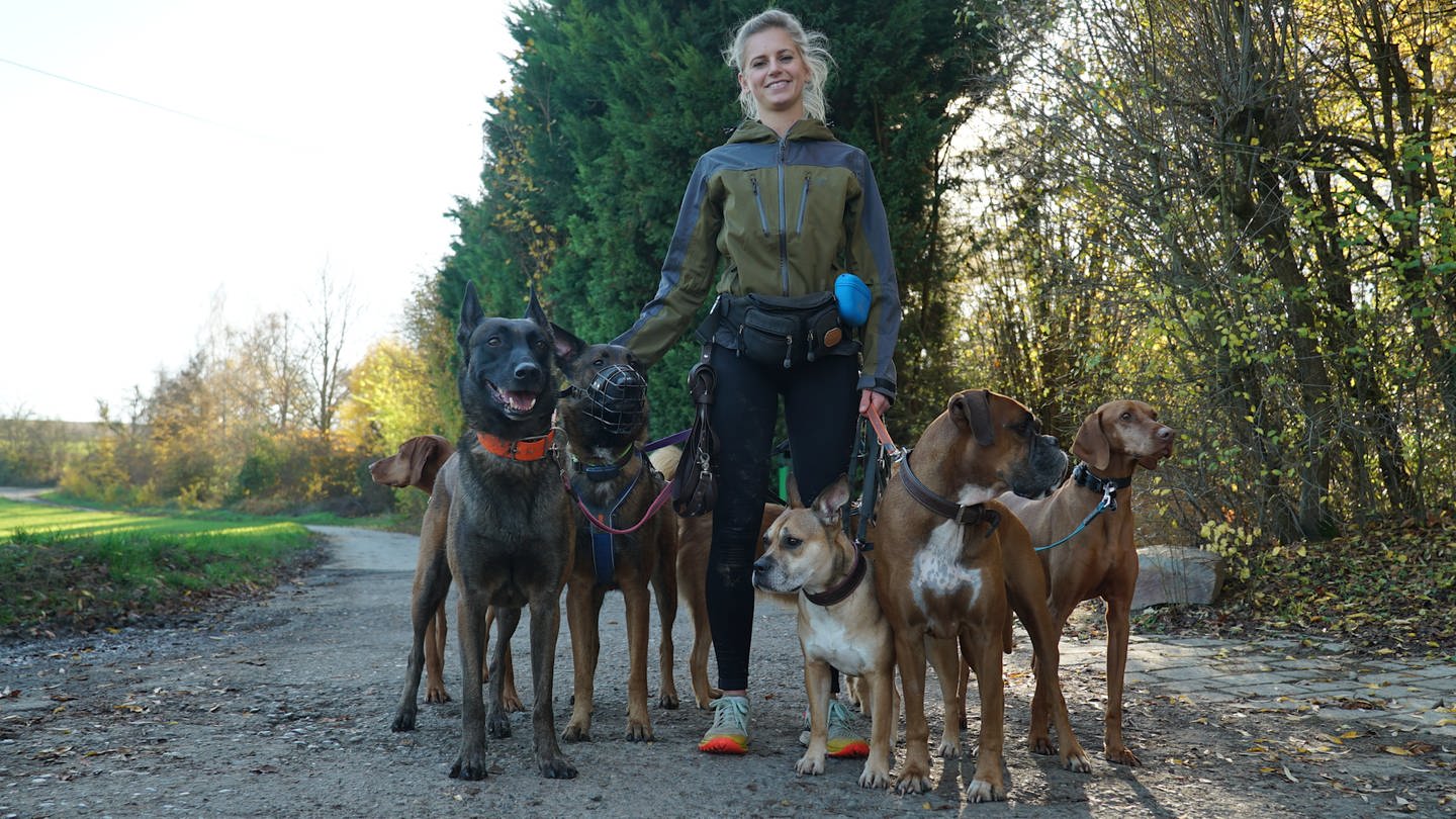 Lisa Kiebler hat einen Traumjob – beruflich mit Hunden Gassi gehen