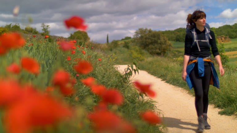 Frau mit Rucksack wandert auf Feldweg, der von roten Mohnblumen gesäumt ist