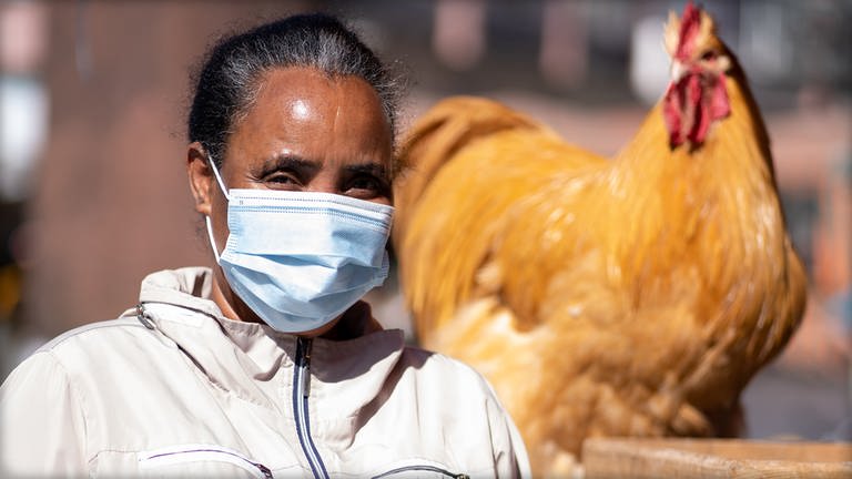 Frau mit normaler Maske neben einem großen, lebendigen braunen Hahn (Foto: SWR)