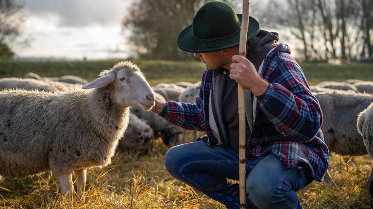 Schäfer kniet und streichelt eines seiner Schafe. (Foto: SWR)