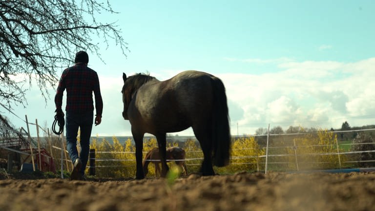 James mit Pferd (Foto: SWR)