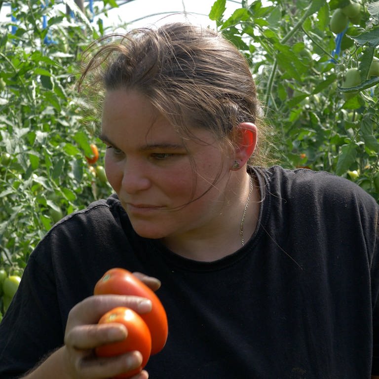 Junge Frau im Gewächshaus mit Tomaten