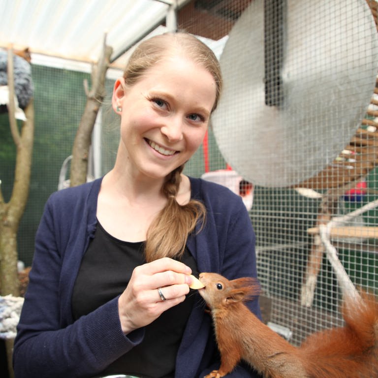 Junge Frau von der Eichhörnchenhilfe Stuttgart füttert rotes Eichhörnchen (Foto: SWR)