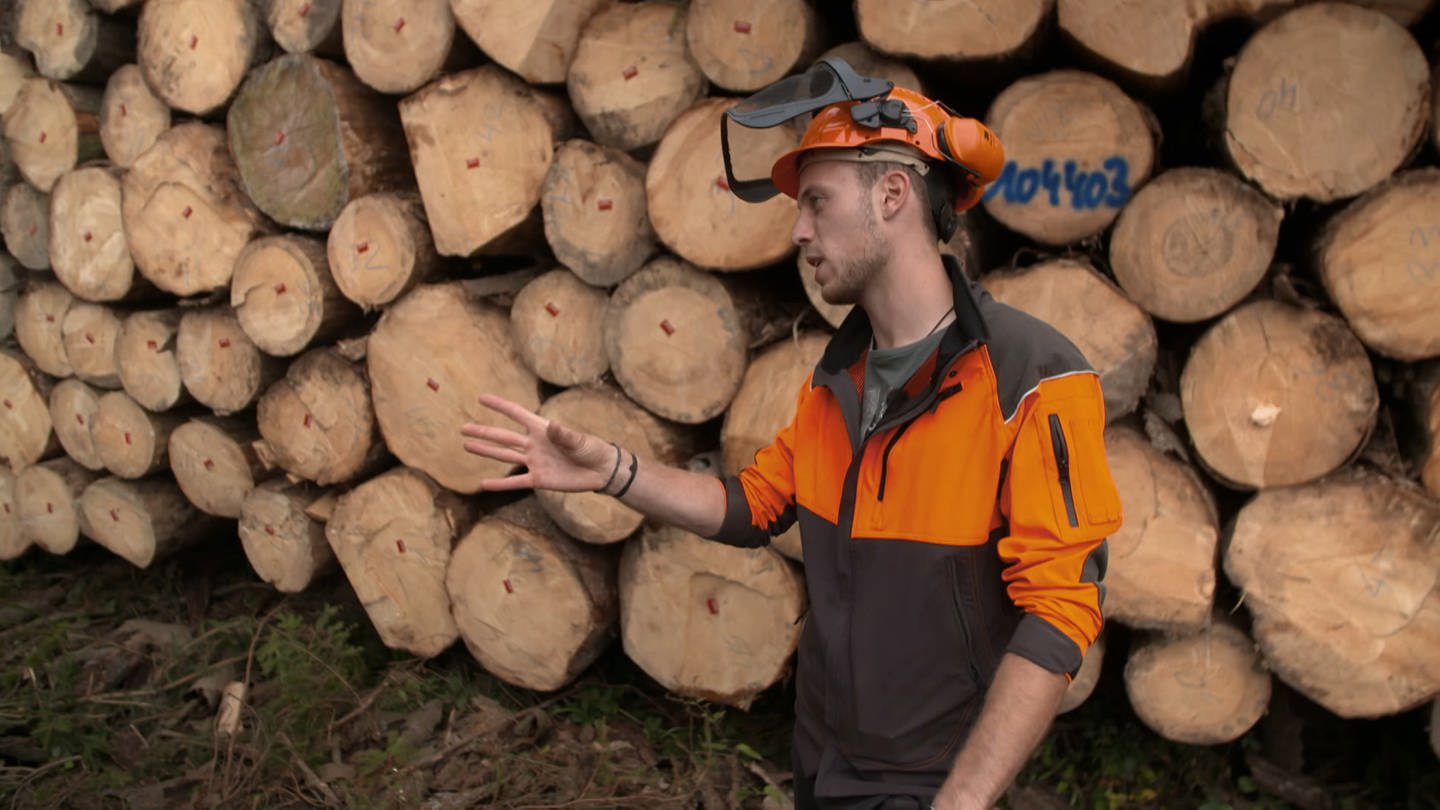 Förster Erik Speitling kämpft im Westerwald gegen das Waldsterben (Foto: SWR)