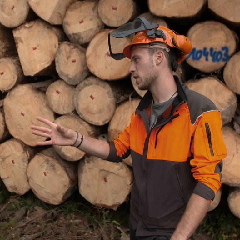 Förster Erik Speitling kämpft im Westerwald gegen das Waldsterben