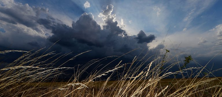 Ende der Hitzerekord-Woche: Gewitter, Hagel und Sturm ium Südwesten erwartet (Foto: dpa Bildfunk, Frank May)