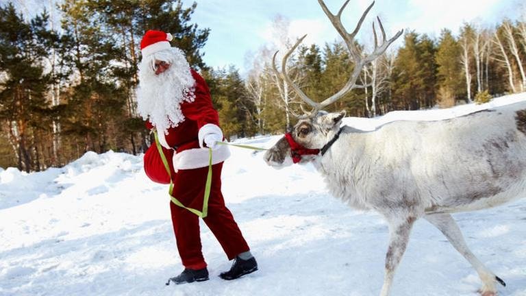 Weihnachtsmann mit Rentier (Foto: Colourbox, Foto: Colourbox.de -)