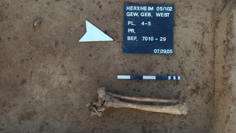 Herxheim, Skelettreste: Unterschenkel mit Fuß (Foto: LAD Rheinland-Pfalz, Amt Speyer)