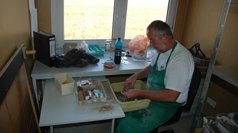 Herxheim, Restaurator Ludger Schulte beim Waschen von Funden (Foto: SWR, Diane Scherzler)