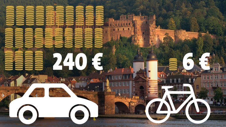 Investitionen in Heidelberg in den Rad- und Autoverkehr (Foto: SWR)