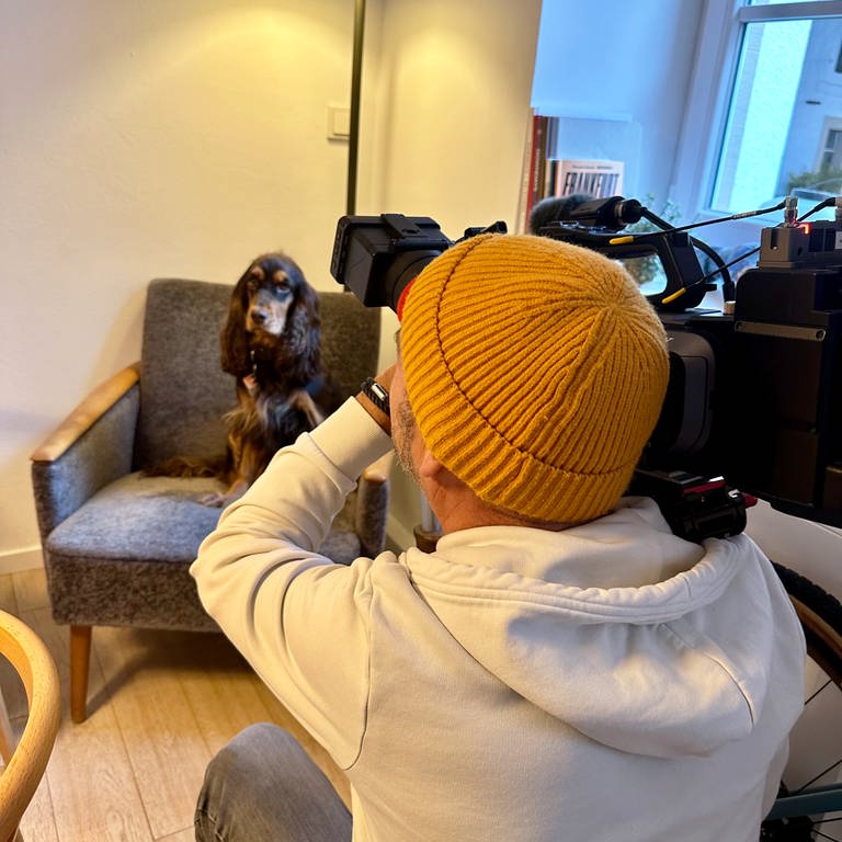 Kameramann filmt Hund, der auf einem Sessel sitzt (Foto: SWR)