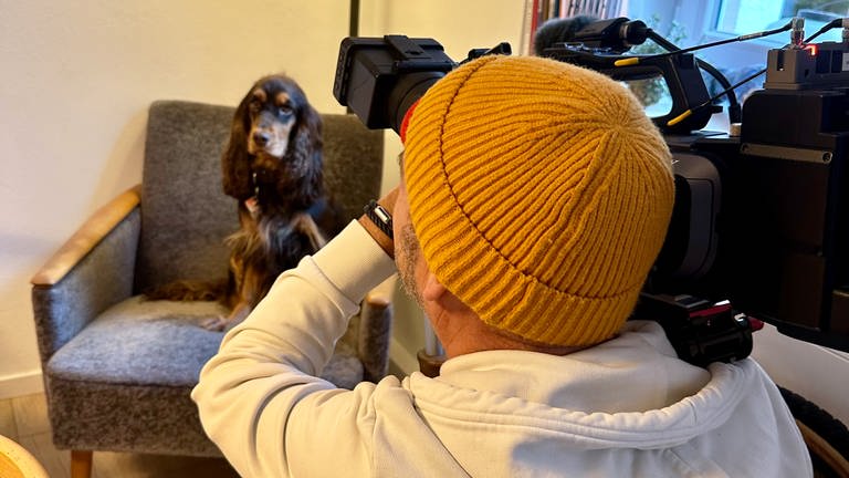 Kameramann filmt Hund, der auf einem Sessel sitzt (Foto: SWR)