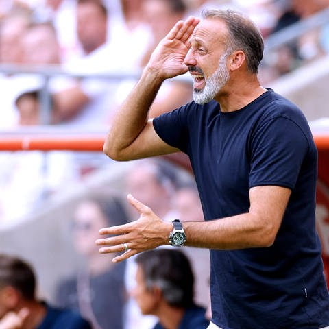 Pellegrino Matarazzo coacht die TSG Hoffenheim beim Spiel gegen Köln. (Foto: IMAGO, IMAGO / Laci Perenyi)