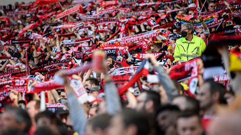 Freiburger Fans im Stadion.  (Foto: IMAGO, IMAGO/Sven Simon)
