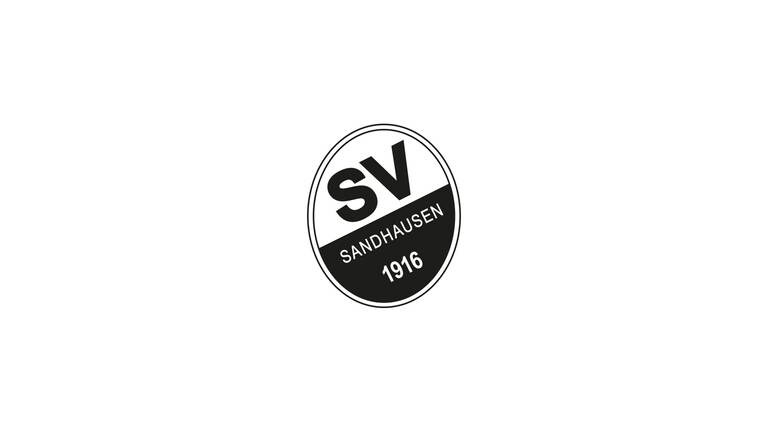 Sandhausen Logo (Foto: SWR)
