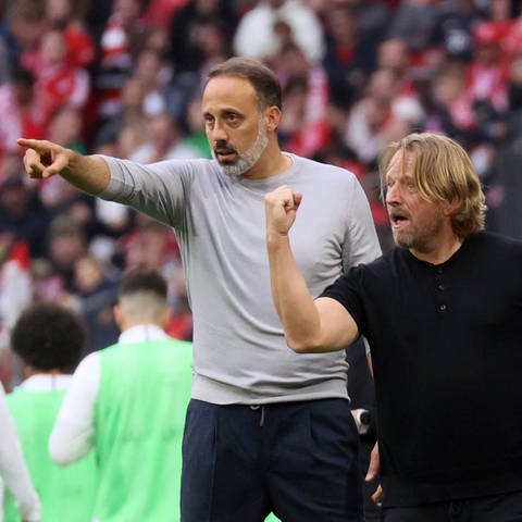 VfB-Trainer Pellegrino Matarazzo und und Sven Mislintat feuern den VfB von der Seitenlinie im Spiel gegen Köln an.  (Foto: IMAGO, IMAGO/Sportfoto Rudel)