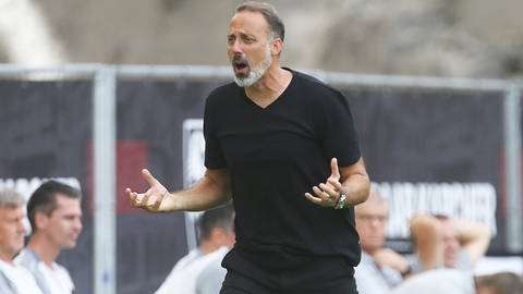 Pellegrino Matarazzo (Trainer VfB Stuttgart) am Spielfeldrand (Foto: IMAGO, IMAGO / Avanti)