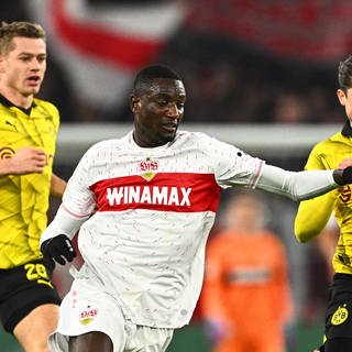 Der VfB Stuttgart trifft im Bundesliga-Topspiel auf den BVB (Foto: picture-alliance / Reportdienste, Picture Alliance)