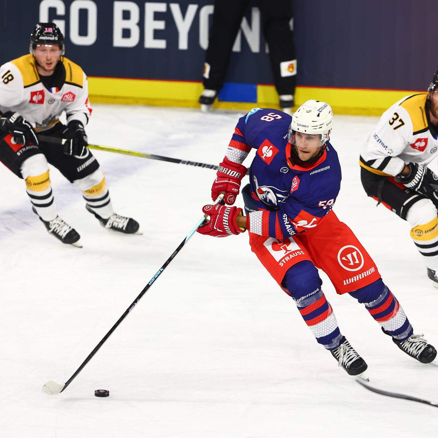 Adler Mannheim erreichen K.o.-Runde der Champions Hockey League
