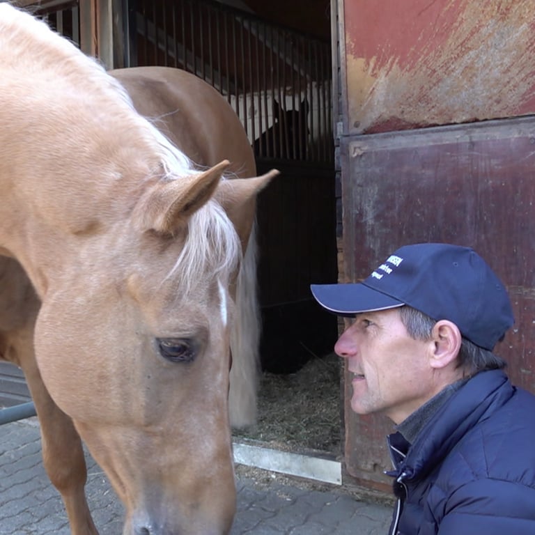 Pferde-Physiotherapeut Lennart Hammer-Hansen im Einsatz.  (Foto: SWR)