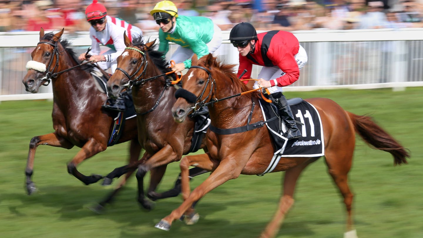 Pferde und Jockeys im Rennen, Galopprennbahn Baden-Baden/Iffezheim (Foto: IMAGO, IMAGO / Galoppfoto)