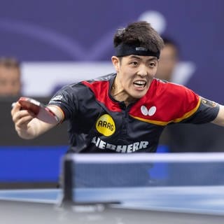 Tischtennisspieler Dang Qiu in Aktion
