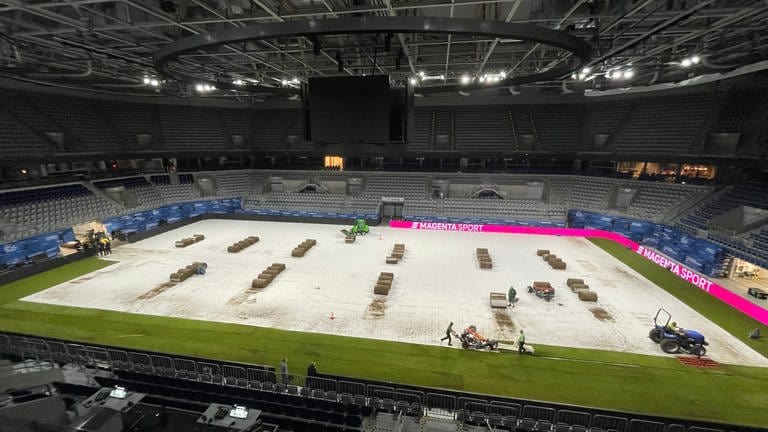 Rollrasen wird in der SAP Arena verlegt. (Foto: SWR, SWR)