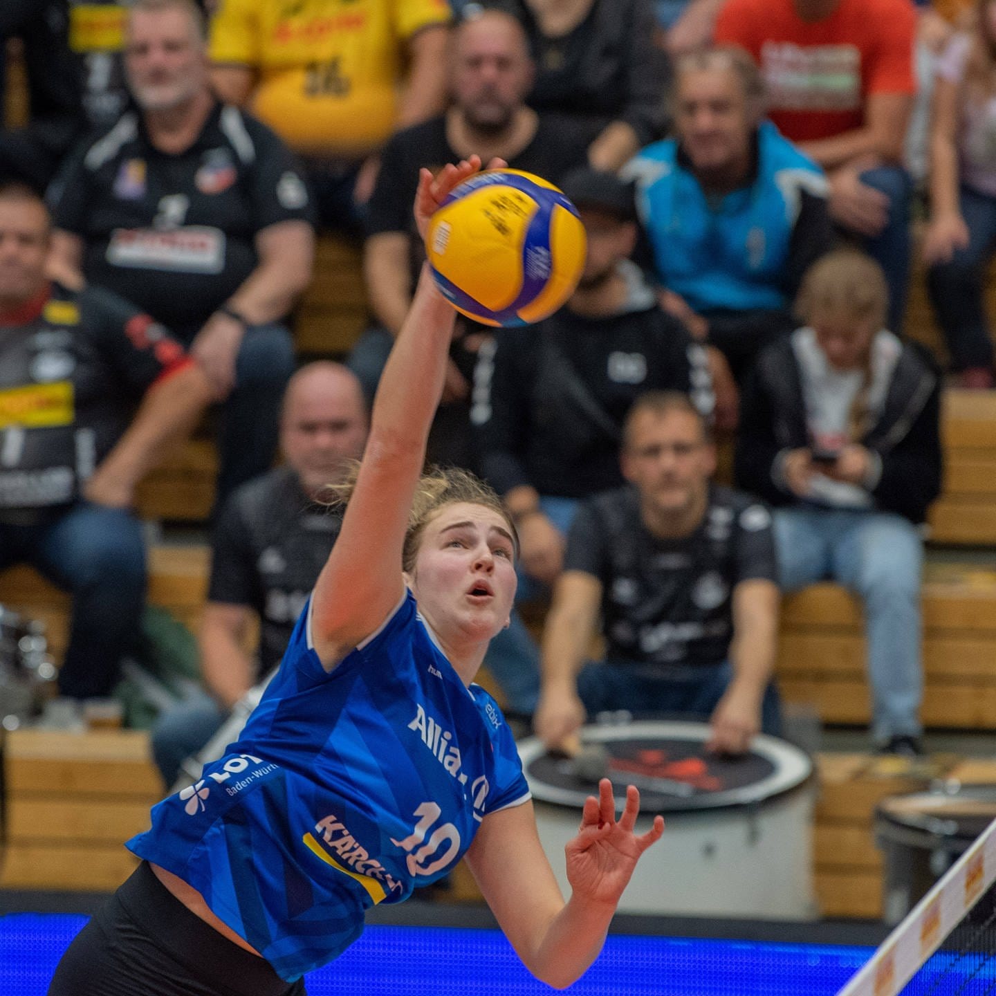 Stuttgarter Volleyballerinnen verlieren Champions-League-Auftakt