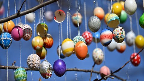 Dutzende bunte Eier hängen an einem Ostereierbaum (Foto: dpa Bildfunk, Picture Alliance)
