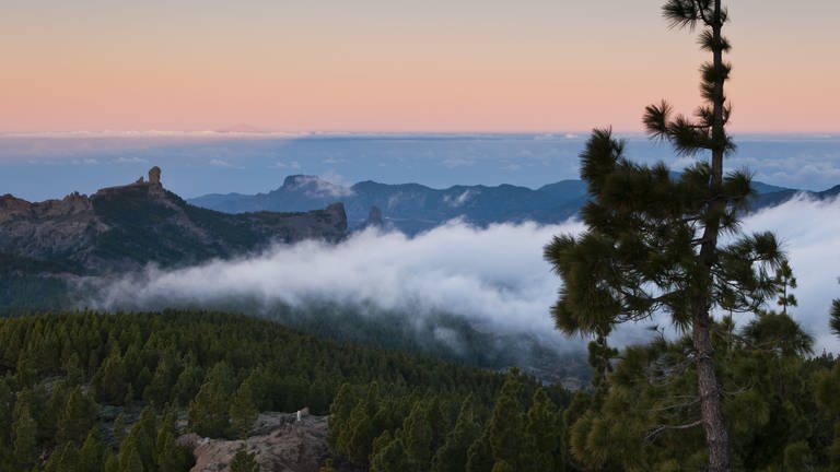 Vom Pico des las Nieves hat man eine tolle Aussicht über die zerklüftete Landschaft von Gran Canaria. (Foto: dpa Bildfunk, Picture Alliance)
