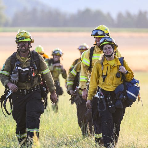 Freiwillige Feuerwehrleute des Internationalen Katastrophenschutz Deutschland "@fire" laufen nach dem Einsatz gegen die Waldbrände im Nationalpark Sächsische Schweiz über einer Wiese.  (Foto: picture-alliance / Reportdienste, Picture Alliance)