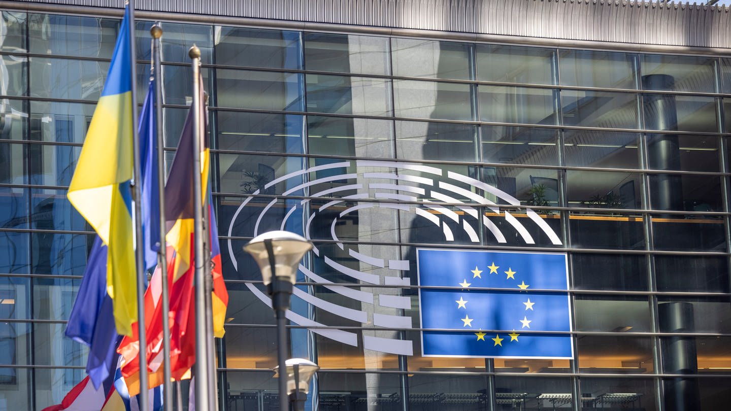 Die Flaggen der europäischen Mitgliedsstaaten wehen vor dem Gebäude des Europäischen Parlaments in Brüssel. (Foto: dpa Bildfunk, Picture Alliance)