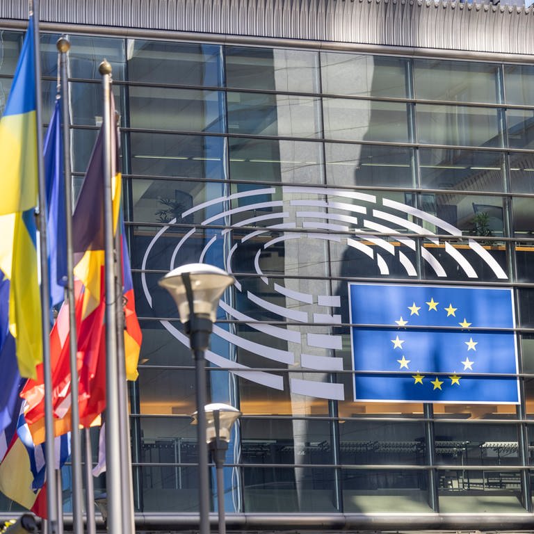 Die Flaggen der europäischen Mitgliedsstaaten wehen vor dem Gebäude des Europäischen Parlaments in Brüssel. (Foto: dpa Bildfunk, Picture Alliance)