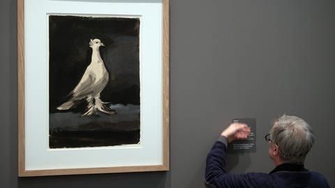 Ein Mitarbeiter der Kunstsammlung Nordrhein-Westfalen bereitet das Bild "Taube" vom 4. Dezember 1942 von Pablo Picasso für eine Ausstellung vor. (Foto: picture-alliance / Reportdienste, picture alliance/dpa | Federico Gambarini)