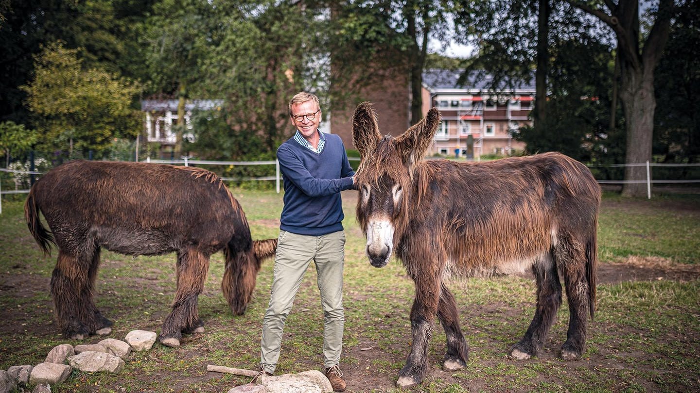 Dr. Rainer Hagencord auf einer Wiese zwischen zwei Eseln (Foto: Pressestelle, Quelle: Thomas Mohn | WWU)