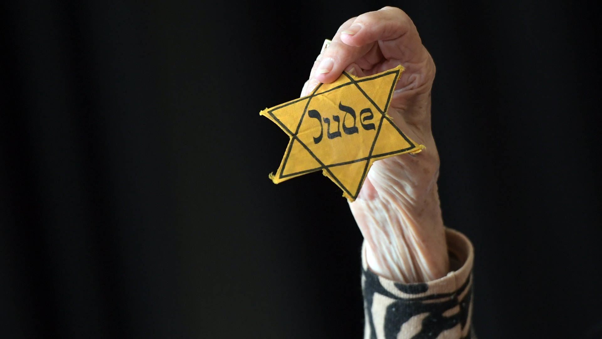 Wie wichtig sind Gespräche mit Zeitzeugen des Holocaust? 