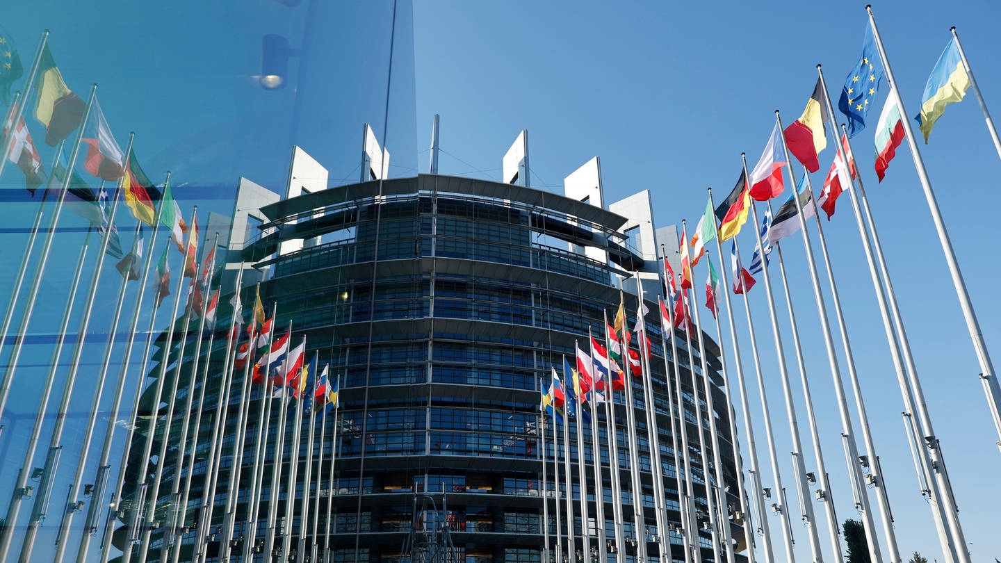 Die Flaggen der europäischen Länder wehen am Europäischen Parlament. (Foto: dpa Bildfunk, Picture Alliance)