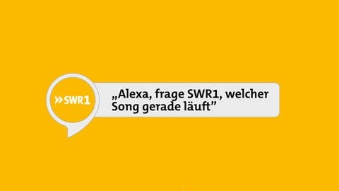 Eingabe: SWR1 Sprachassistent bei Alexa, Google-Assistant und Co. (Foto: SWR, SWR1)