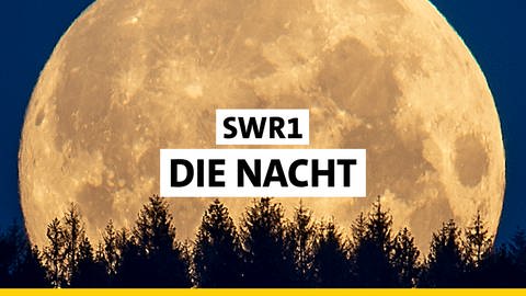 Logo der Sendung SWR1 Die Nacht (Foto: SWR)