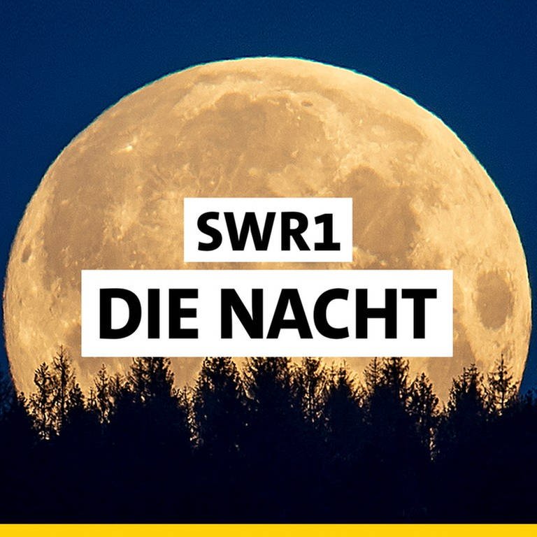 Logo der Sendung SWR1 Die Nacht (Foto: SWR)