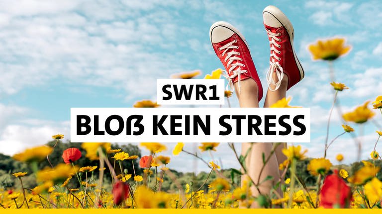 Logo der Sendung SWR1 Bloß kein Stress (Foto: SWR, SWR / picture alliance / Shotshop | Addictive Stock)