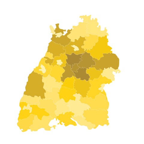So hat Baden-Württemberg gewählt (Foto: SWR)