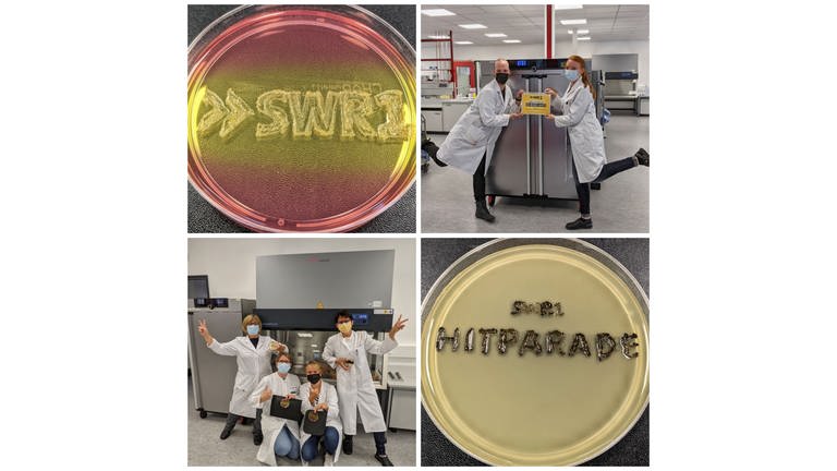 Petrischalen mit dem Schriftzug SWR1 Hitparade in einem Labor