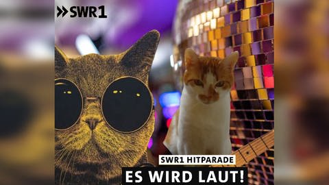 SWR1 Hitparadenkatze in Fotobox mit Katze